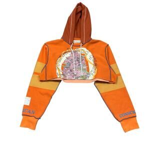 Advisory Board Crystals Abc. American Consciousness Cropped Hoodie 2XL